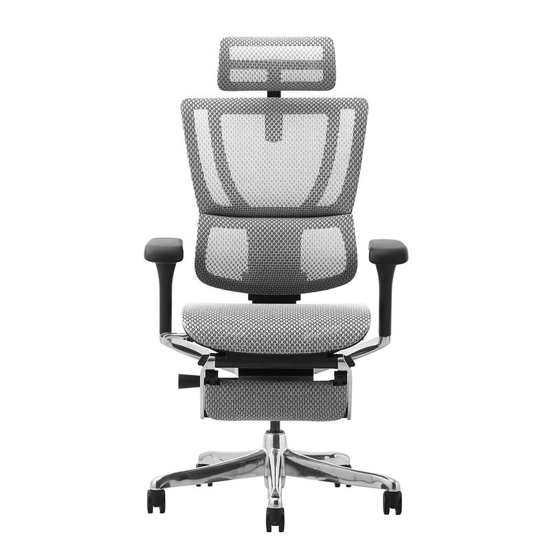 Ergohuman/FIT2 - Ergohuman FIT2 Ottoman (Black Frame/White Mesh)