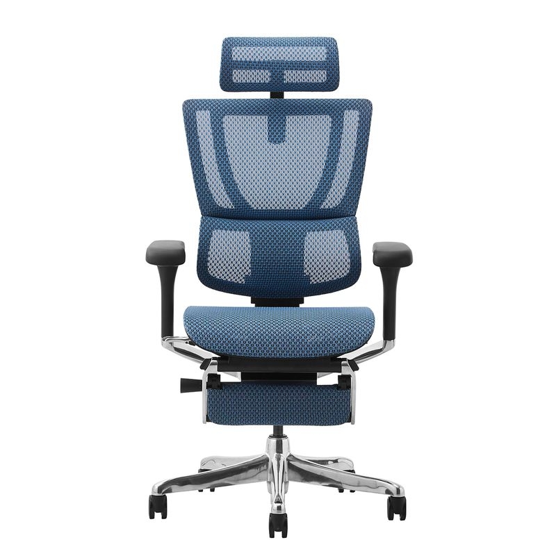 Ergohuman/FIT2 - Ergohuman FIT2 Ottoman (Black Frame/Blue Mesh)