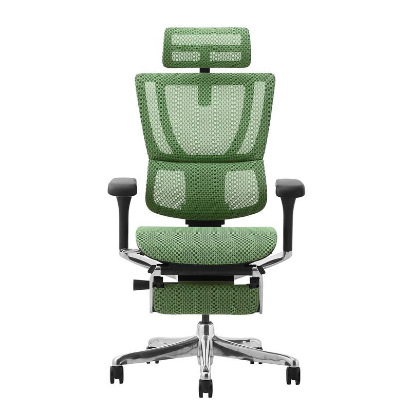 Ergohuman/FIT2 - Ergohuman FIT2 Ottoman (Black Frame/Green Mesh)