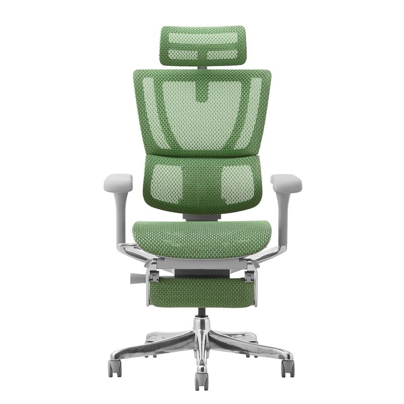 Ergohuman/FIT2 - Ergohuman FIT2 Ottoman (Gray Frame/Green Mesh)