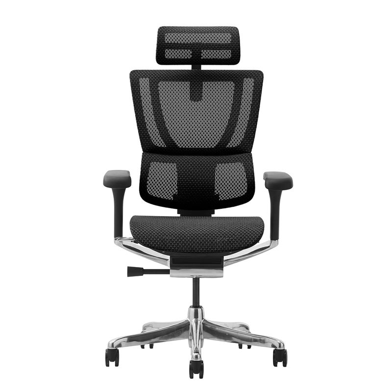 Ergohuman/FIT2 - Ergohuman FIT2 (Black Frame/Black Mesh)