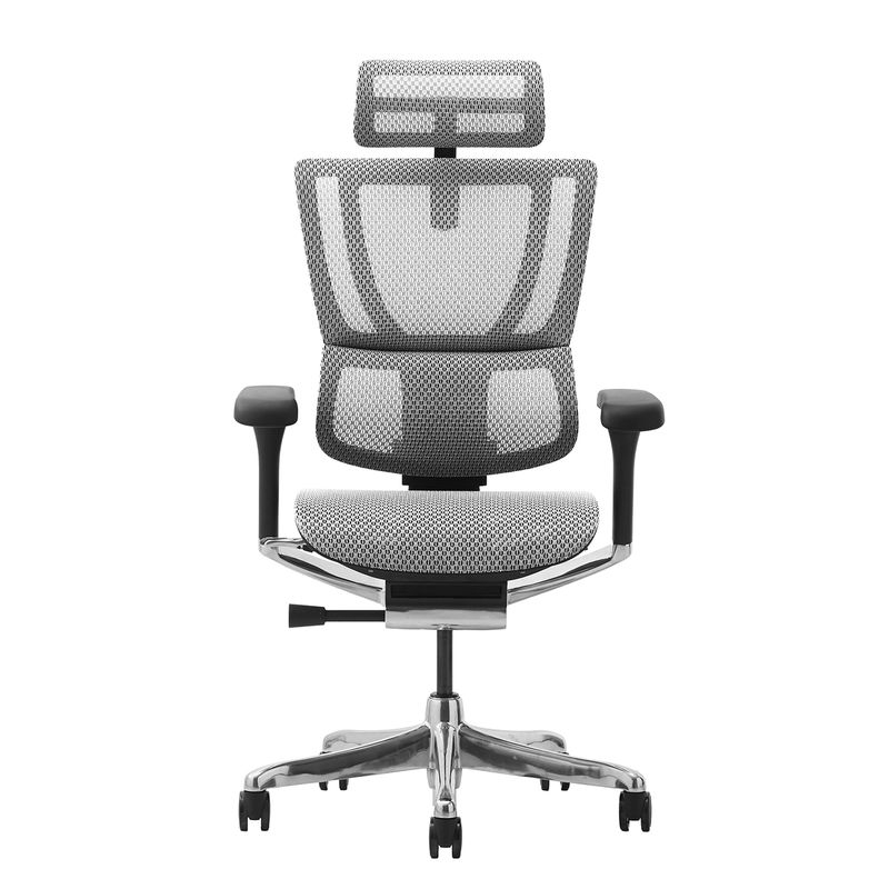 Ergohuman/FIT2 - Ergohuman FIT2 (Black Frame/White Mesh)