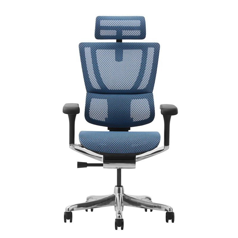 Ergohuman/FIT2 - Ergohuman FIT2 (Black Frame/Blue Mesh)