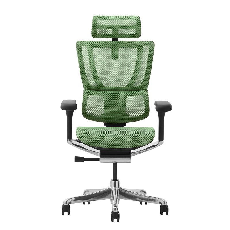 Ergohuman/FIT2 - Ergohuman FIT2 (Black Frame/Green Mesh)