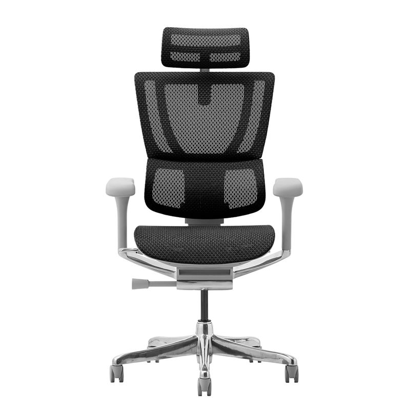 Ergohuman/FIT2 - Ergohuman FIT2 (Gray Frame/Black Mesh)