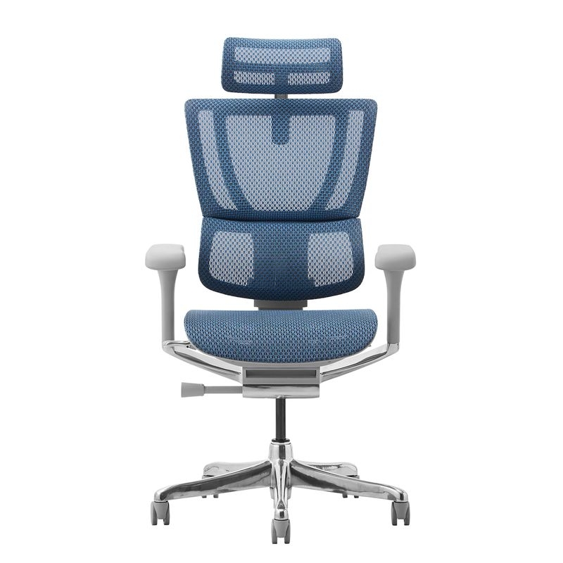 Ergohuman/FIT2 - Ergohuman FIT2 (Gray Frame/Blue Mesh)