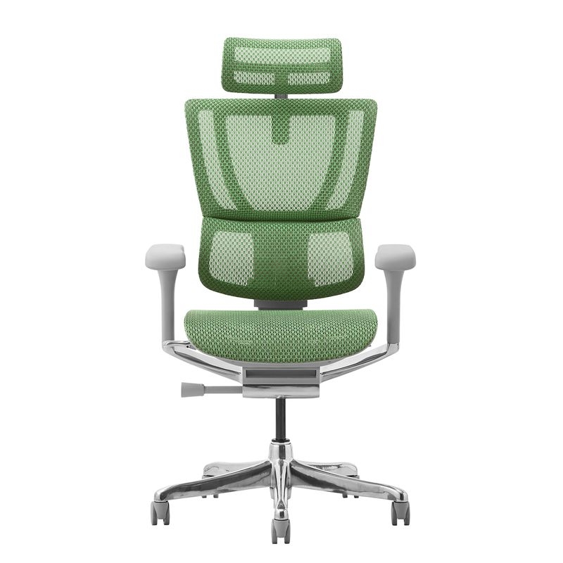 Ergohuman/FIT2 - Ergohuman FIT2 (Gray Frame/Green Mesh)