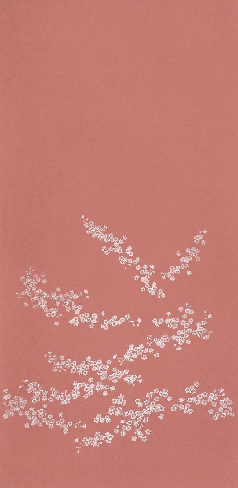 燦-SAN-