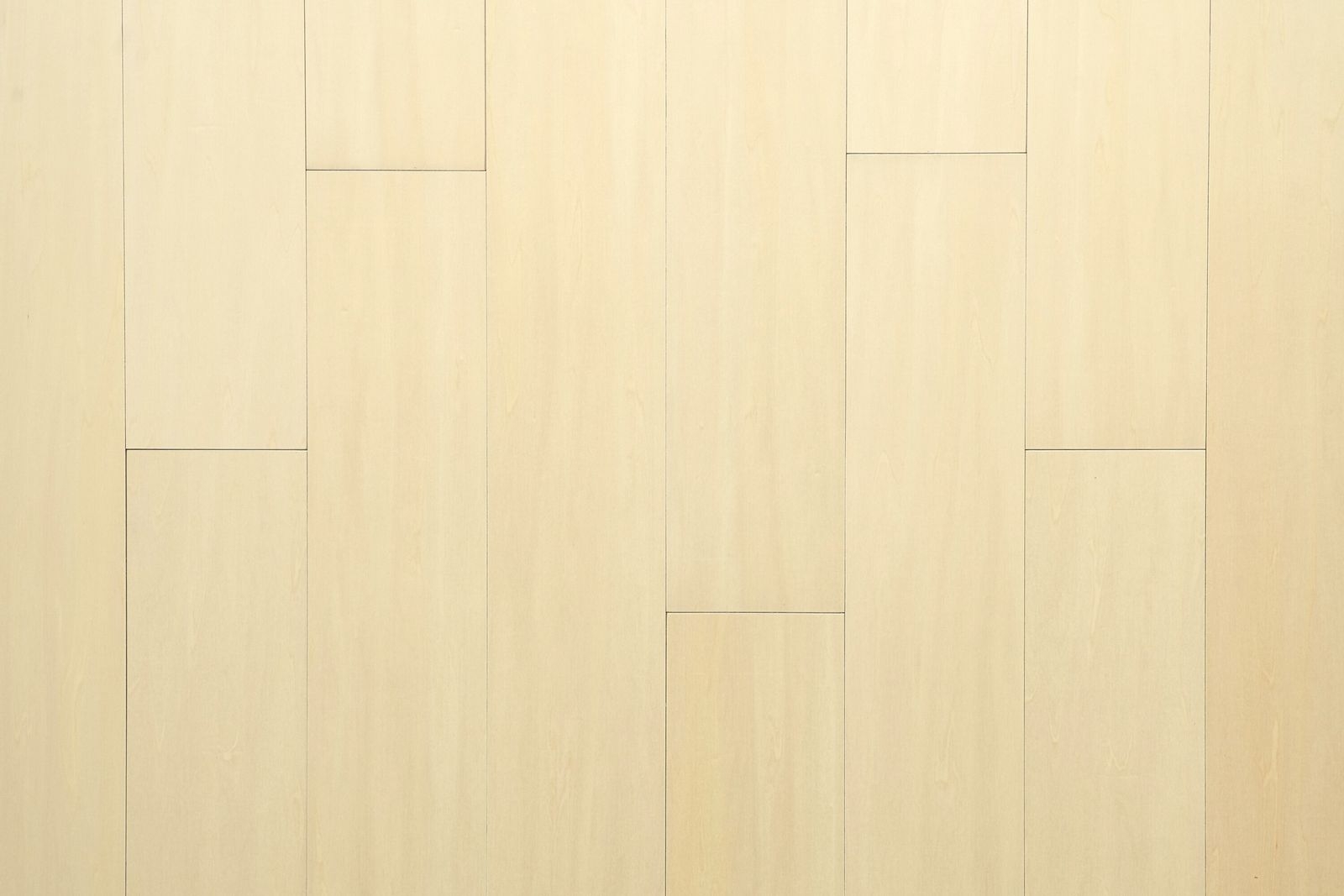 シナ