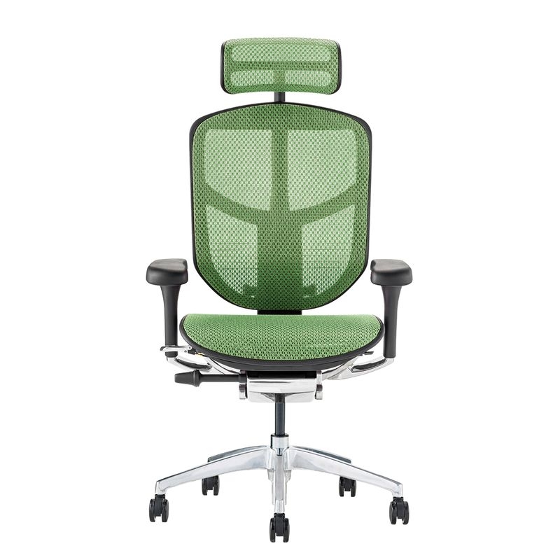 Ergohuman/ENJOY2 - Ergohuman ENJOY2 High (Black Frame/Green Mesh)