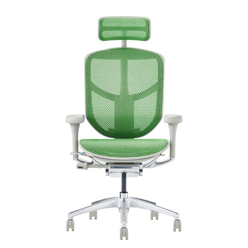 Ergohuman/ENJOY2 - Ergohuman ENJOY2 High (Gray Frame/Green Mesh)