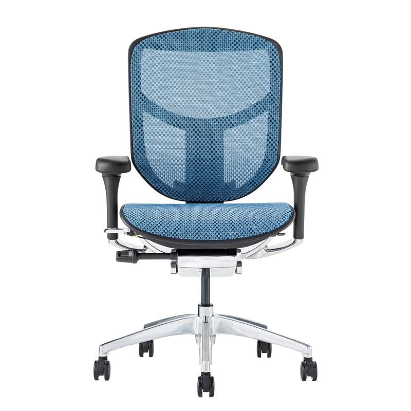 Ergohuman/ENJOY2 - Ergohuman ENJOY2 Low (Black Frame/Blue Mesh)