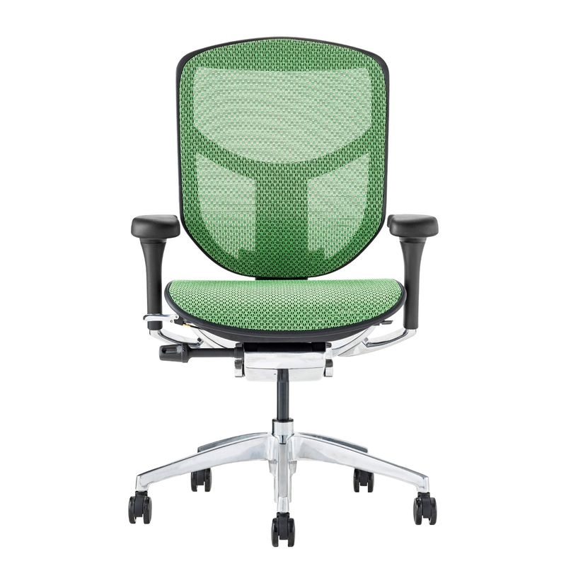 Ergohuman/ENJOY2 - Ergohuman ENJOY2 Low (Black Frame/Green Mesh)