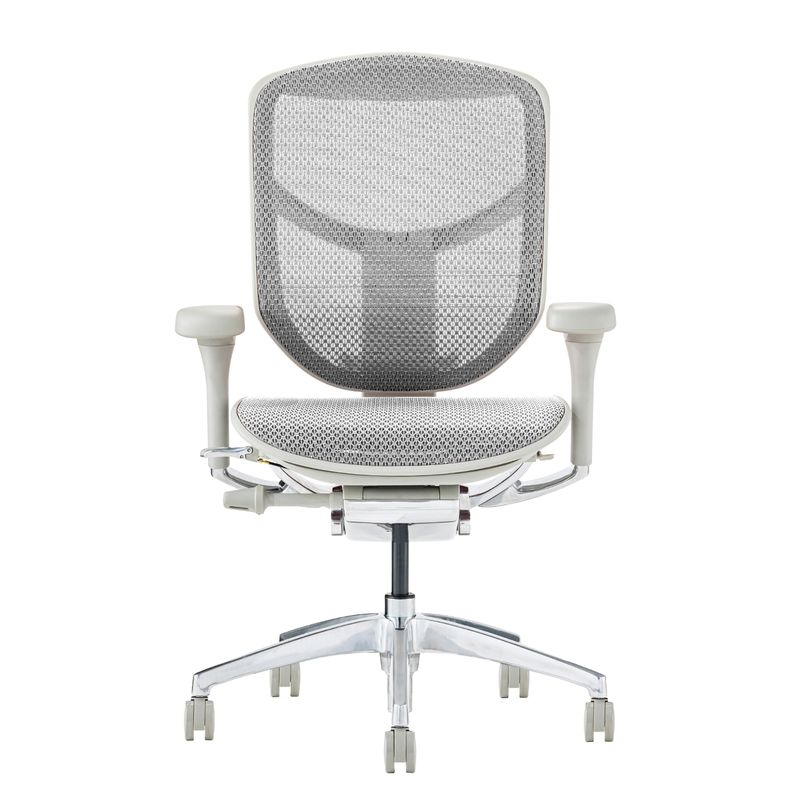 Ergohuman/ENJOY2 - Ergohuman ENJOY2 Low (Gray Frame/White Mesh)