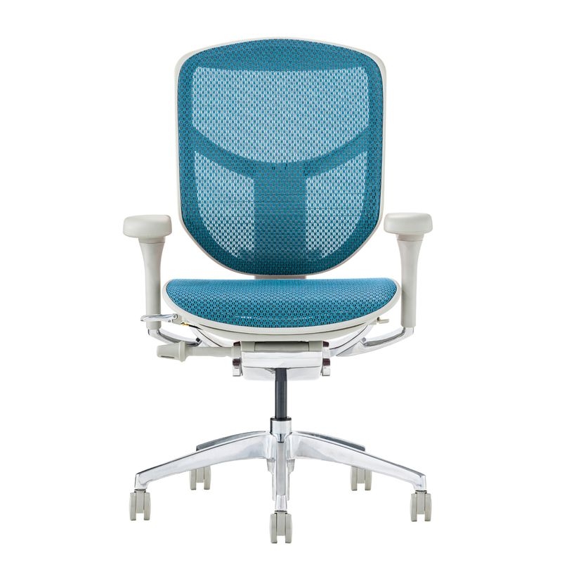 Ergohuman/ENJOY2 - Ergohuman ENJOY2 Low (Gray Frame/Blue Mesh)