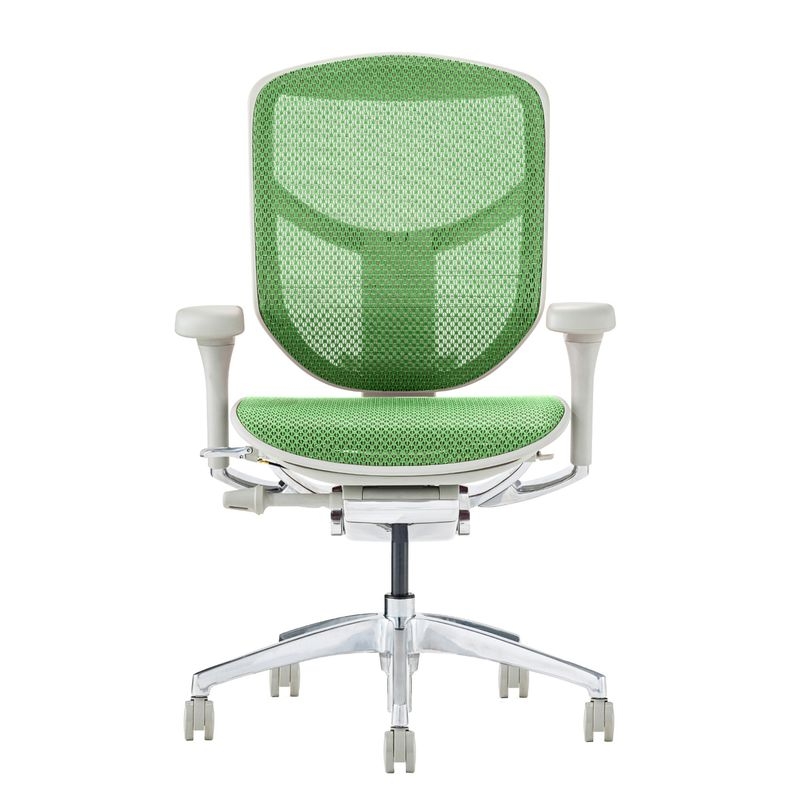 Ergohuman/ENJOY2 - Ergohuman ENJOY2 Low (Gray Frame/Green Mesh)