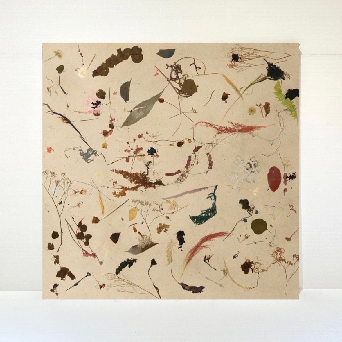 PANECO MATERIAL BOARD LOSSFLOWER