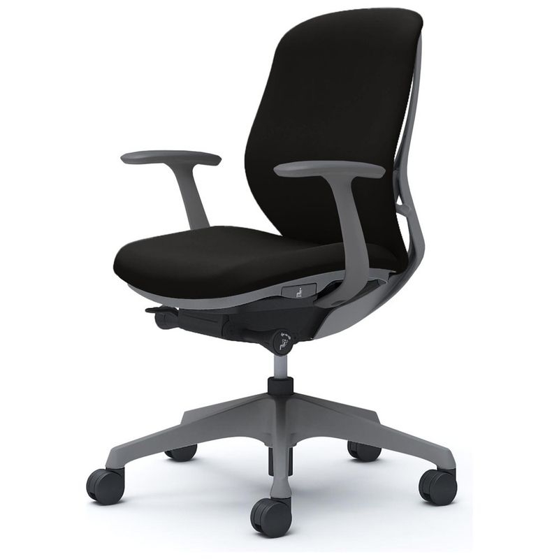 シルフィー 固定肘 背クッション ロー ダークグレーボディ ハンガー無 ランバー無 樹脂脚