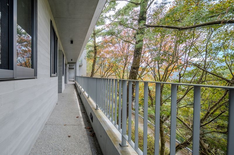 The cantilevered walkway creates the experience of moving through the woodland, transforming a passage into a journey of nature.