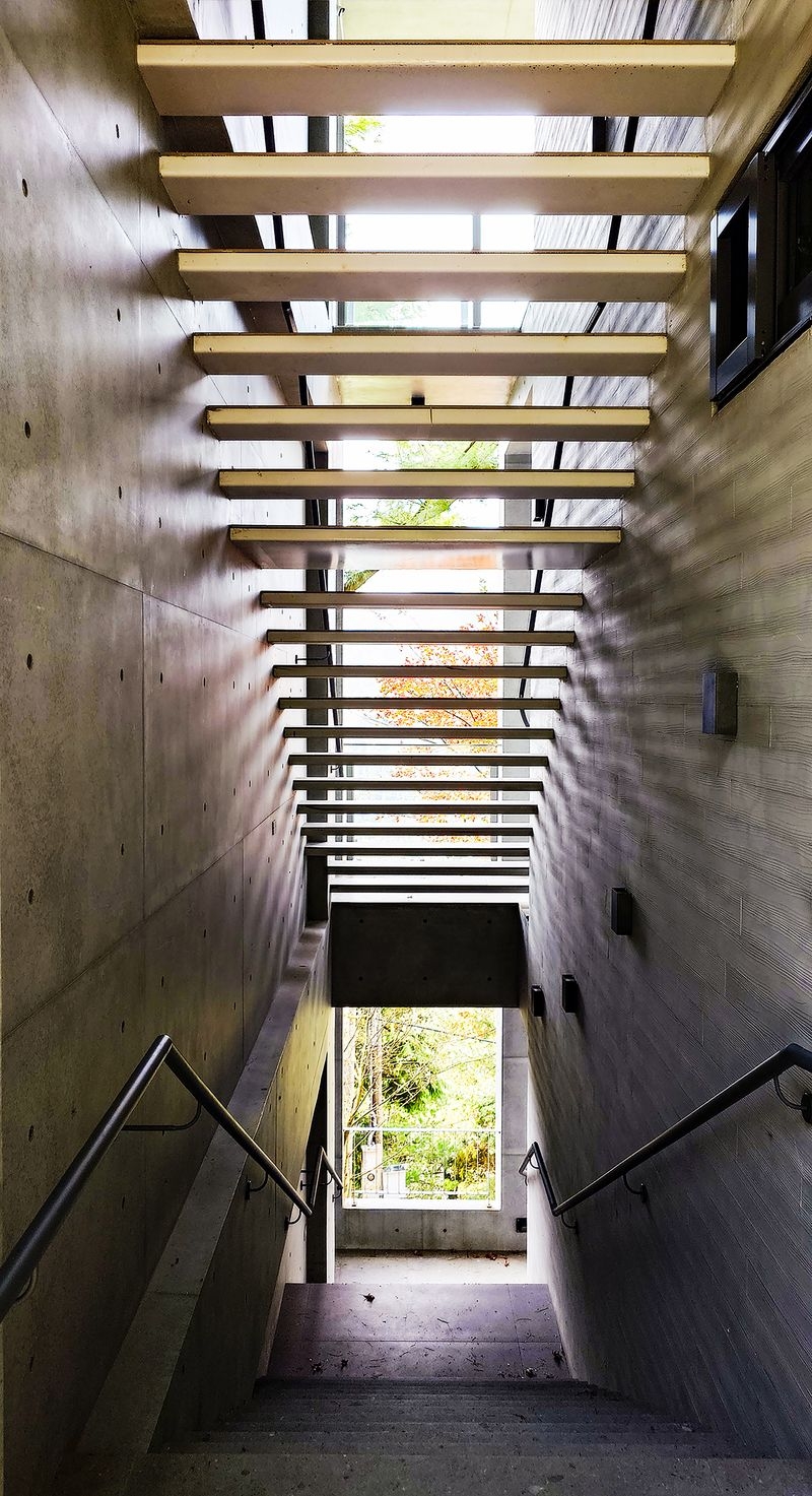 The open-riser staircase filters light and nature through its structure, creating a layered, carefully framed view.