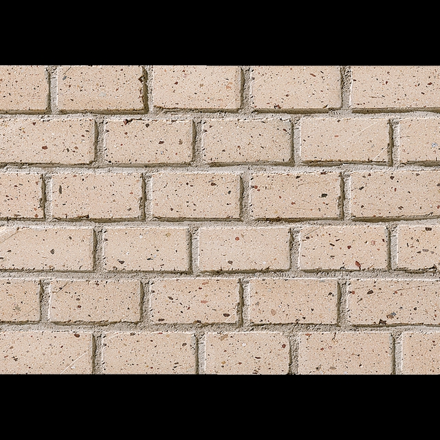 COZY BRICK/コージーブリック - 100×50角