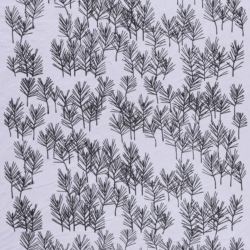 松林（Pine Forest）