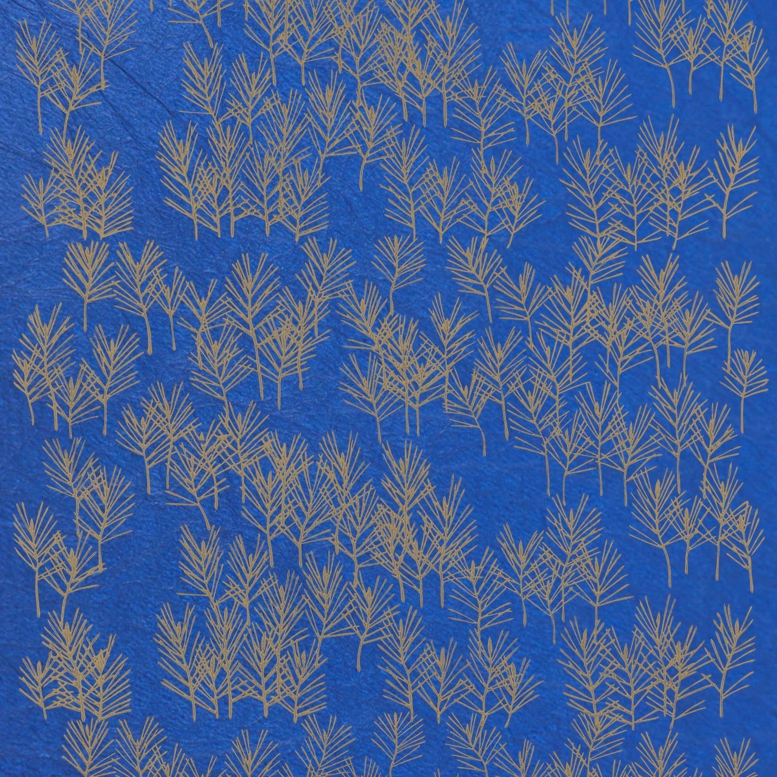 商品画像 1