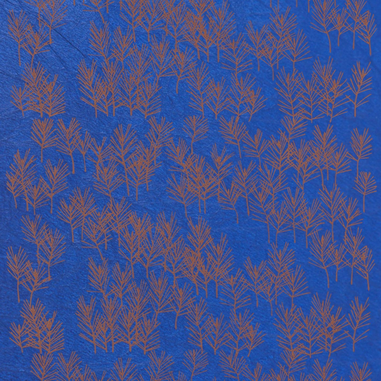 商品画像 1