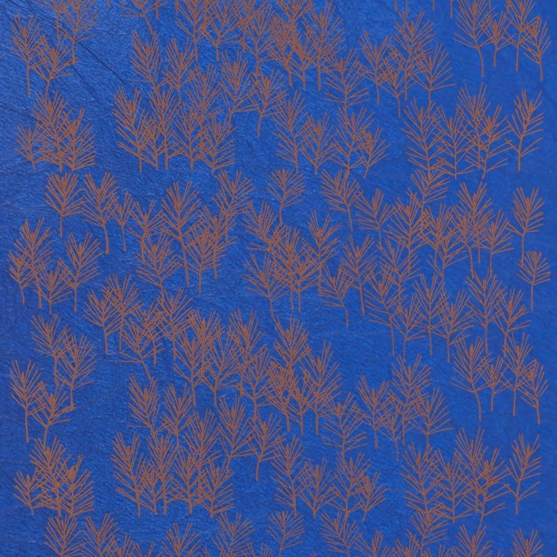 松林（Pine Forest）