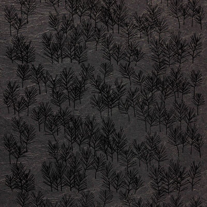 松林（Pine Forest）