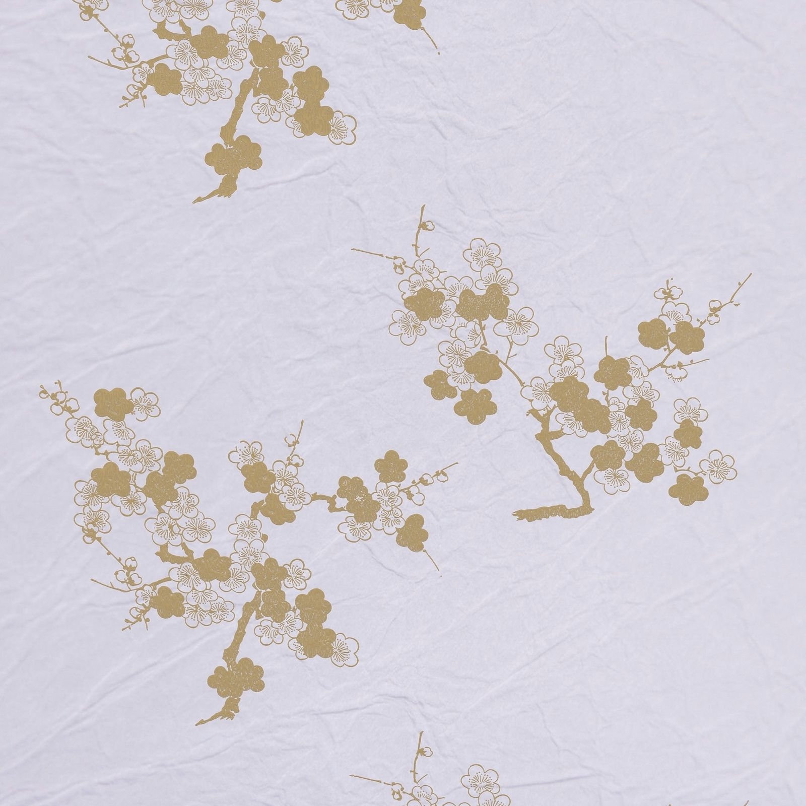 陰日向梅(Plum Flower Shade and Light)