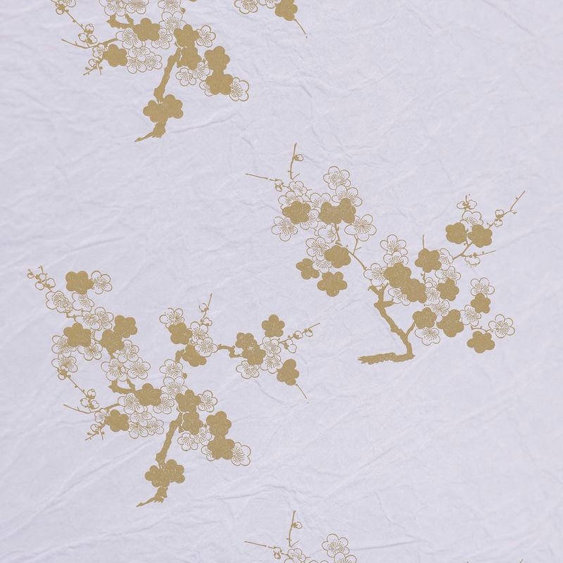 陰日向梅（Plum Flower Shade and Light）