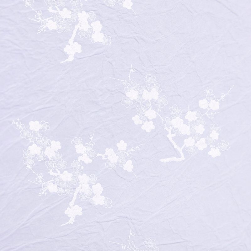 陰日向梅（Plum Flower Shade and Light）
