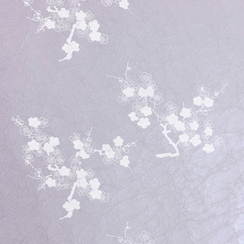 陰日向梅（Plum Flower Shade and Light）