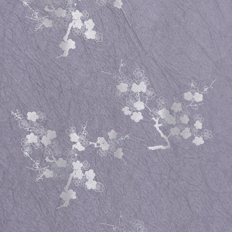 陰日向梅（Plum Flower Shade and Light）