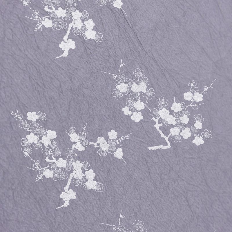 陰日向梅（Plum Flower Shade and Light）