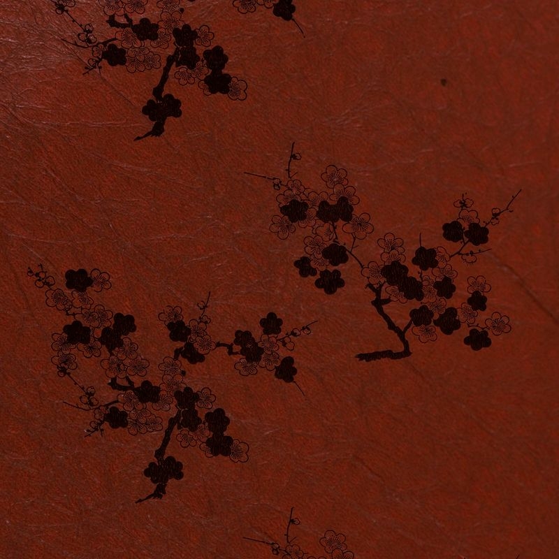 陰日向梅（Plum Flower Shade and Light）