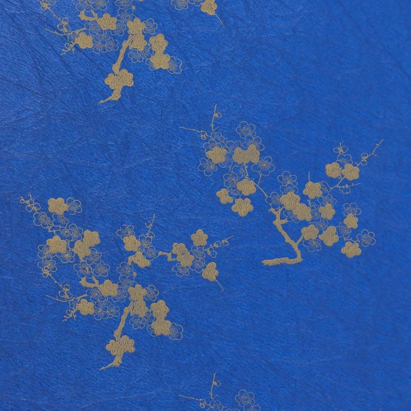 陰日向梅（Plum Flower Shade and Light）