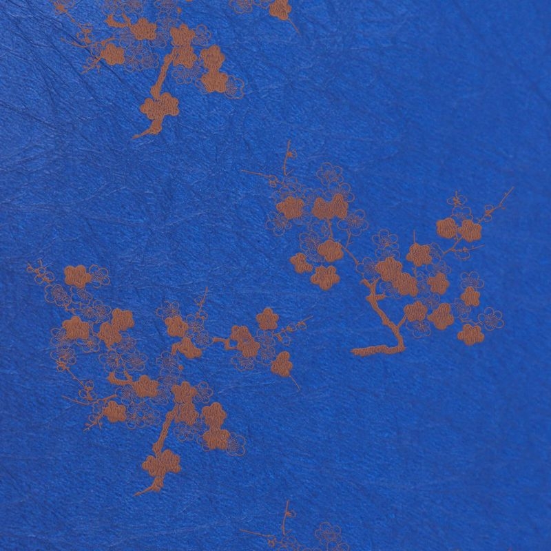 陰日向梅（Plum Flower Shade and Light）