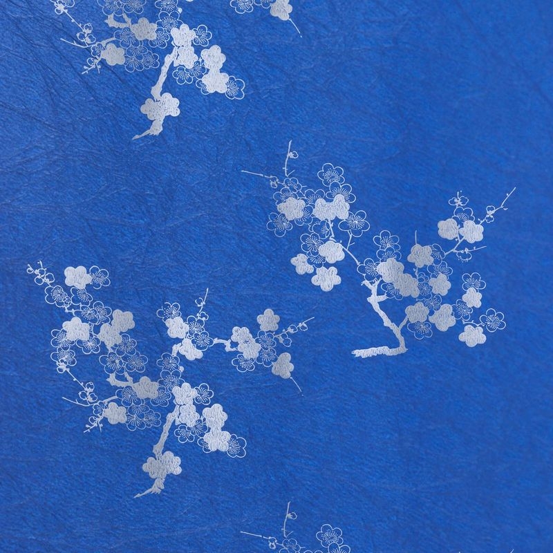 陰日向梅（Plum Flower Shade and Light）
