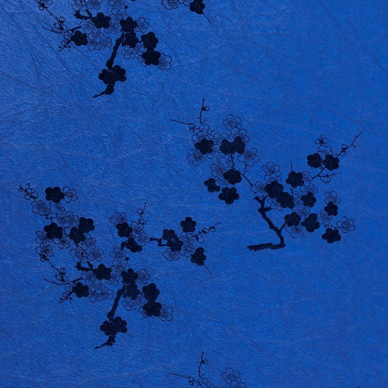 陰日向梅（Plum Flower Shade and Light）