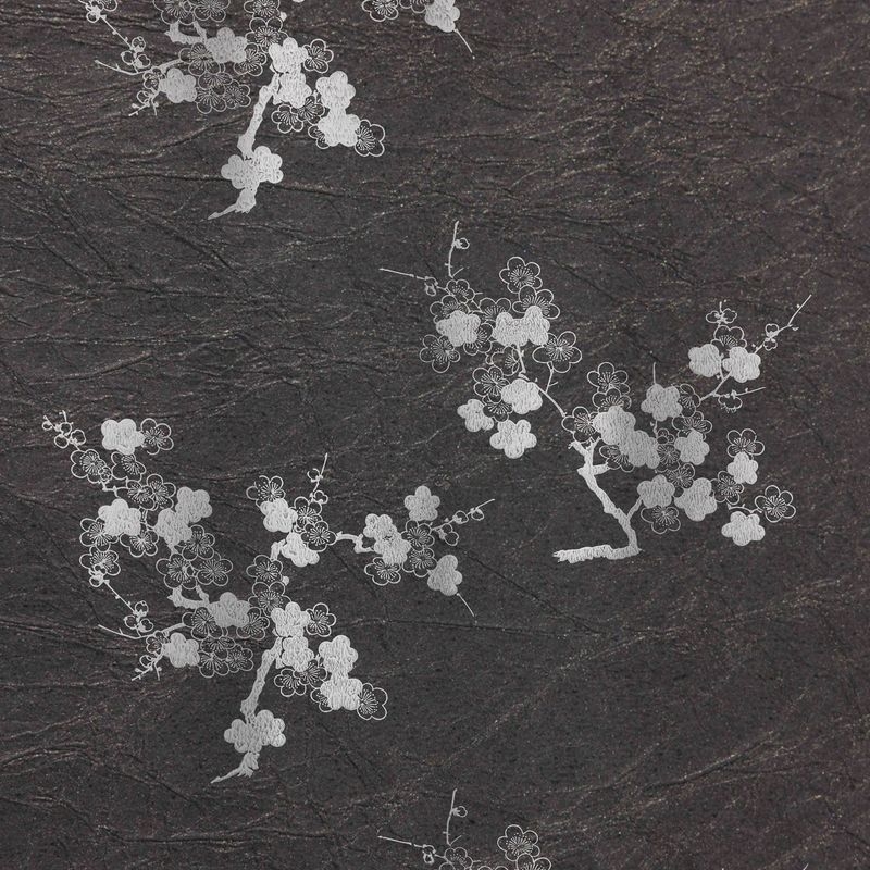 陰日向梅（Plum Flower Shade and Light）