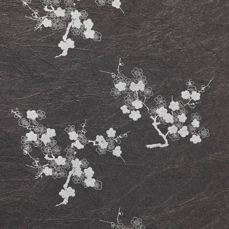 陰日向梅（Plum Flower Shade and Light）
