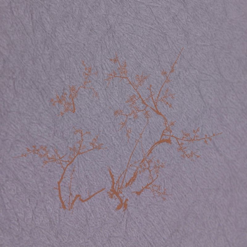 老梅（Old Plum）