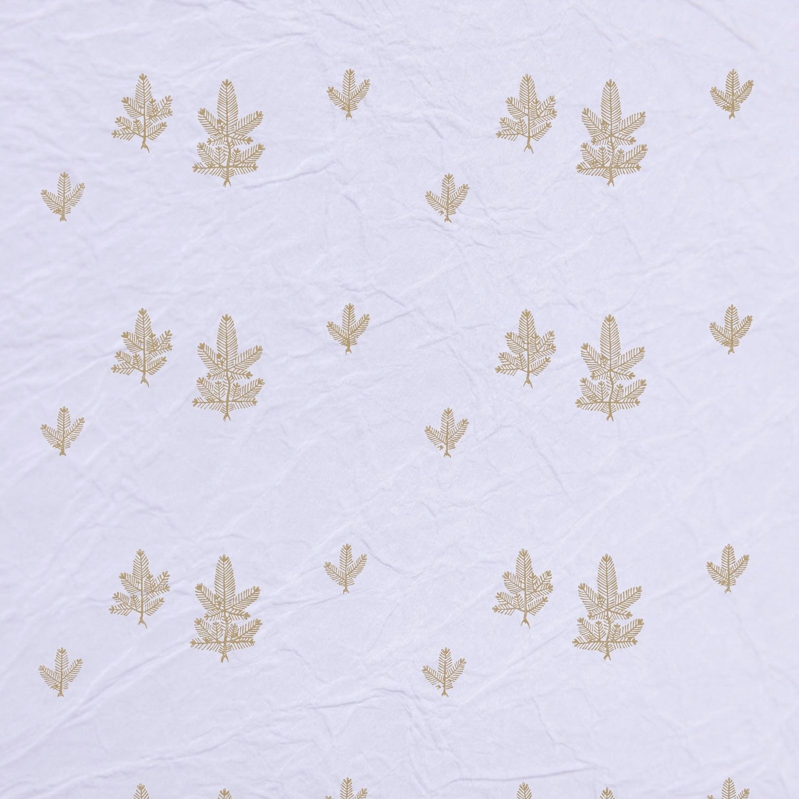 根松(Pine Root)