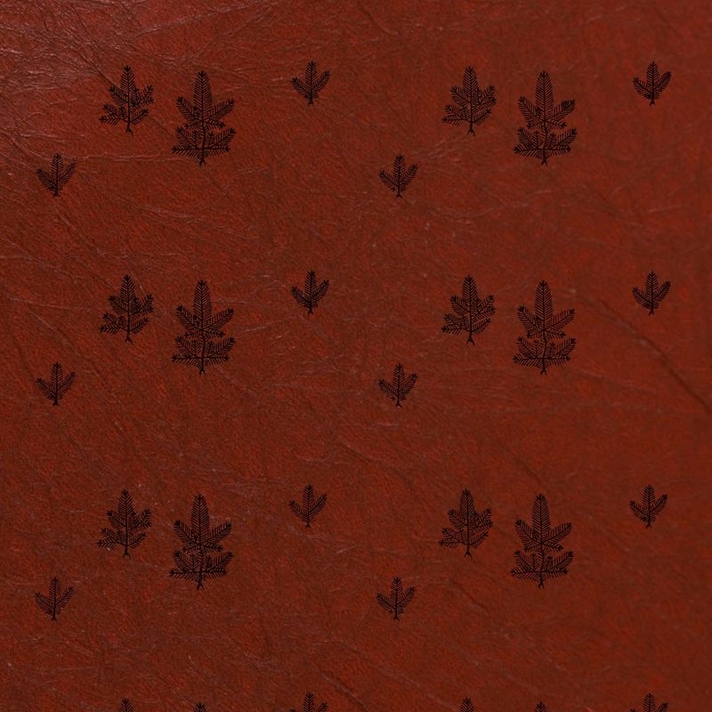 根松（Pine Root）