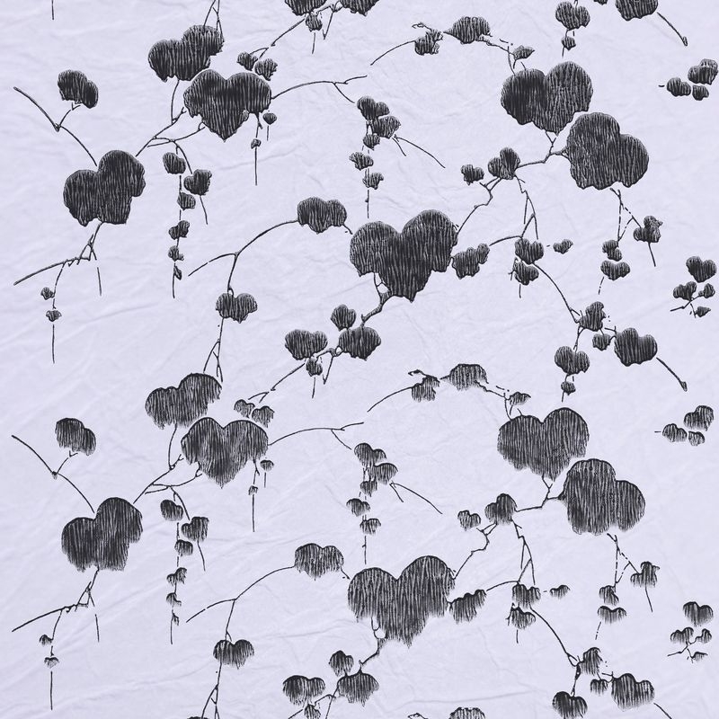 蔦（Ivy Plants）