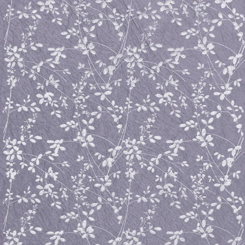 萩（Bush Clover）