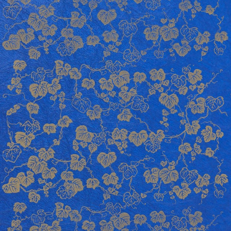 陰日向蔦（Ivy Plants Shade and Light）