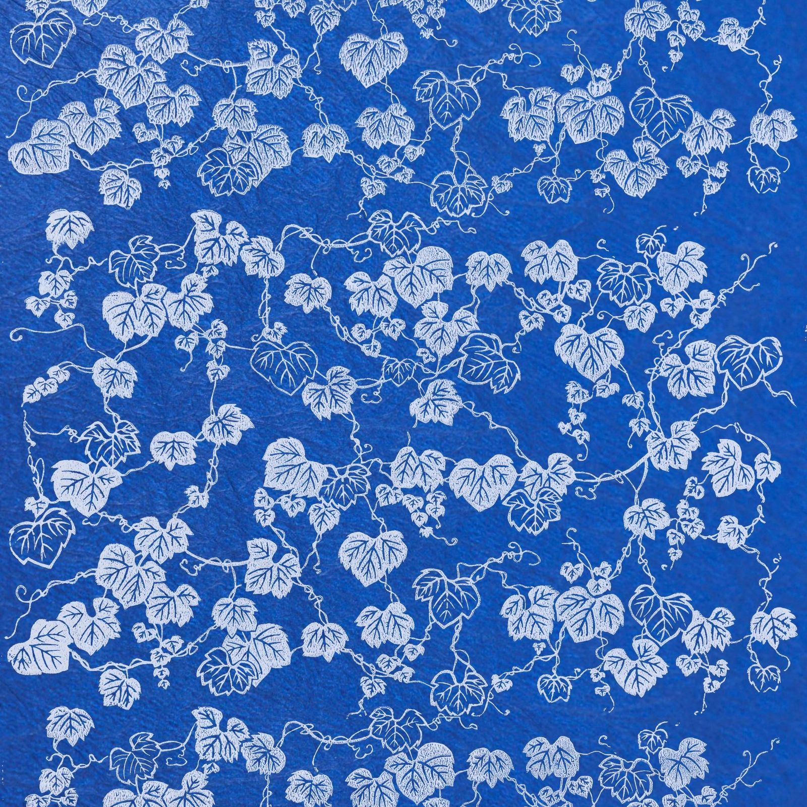 商品画像 1